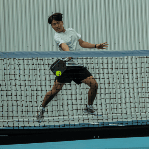 Pickleball Player Court 1 Pickleball Player Court 1